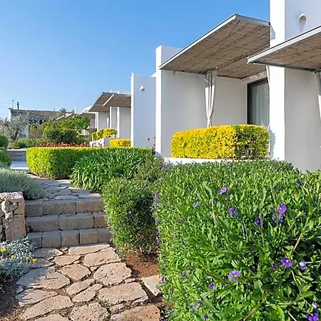 Masseria Samenti Alliste